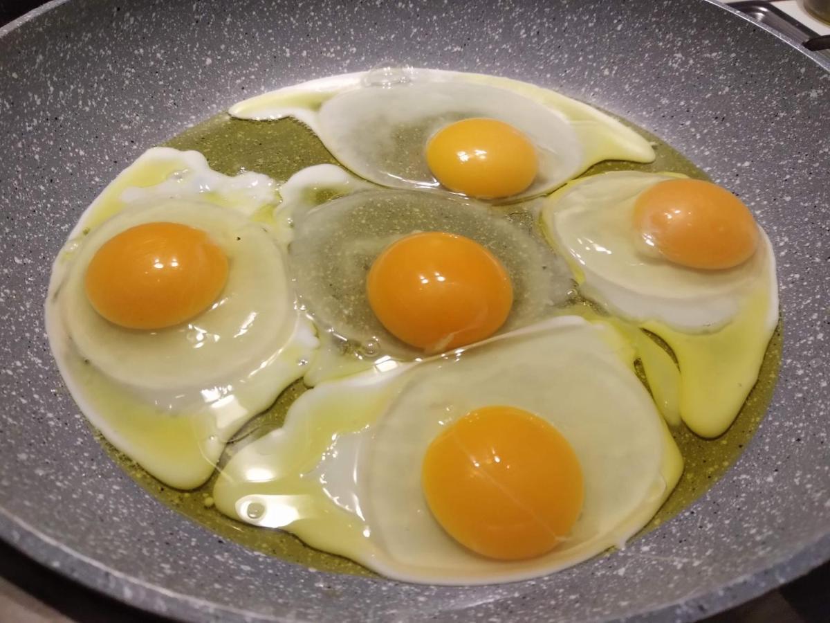 Tenuta I Musi Lunghi Lesignano de' Bagni Eksteriør bilde