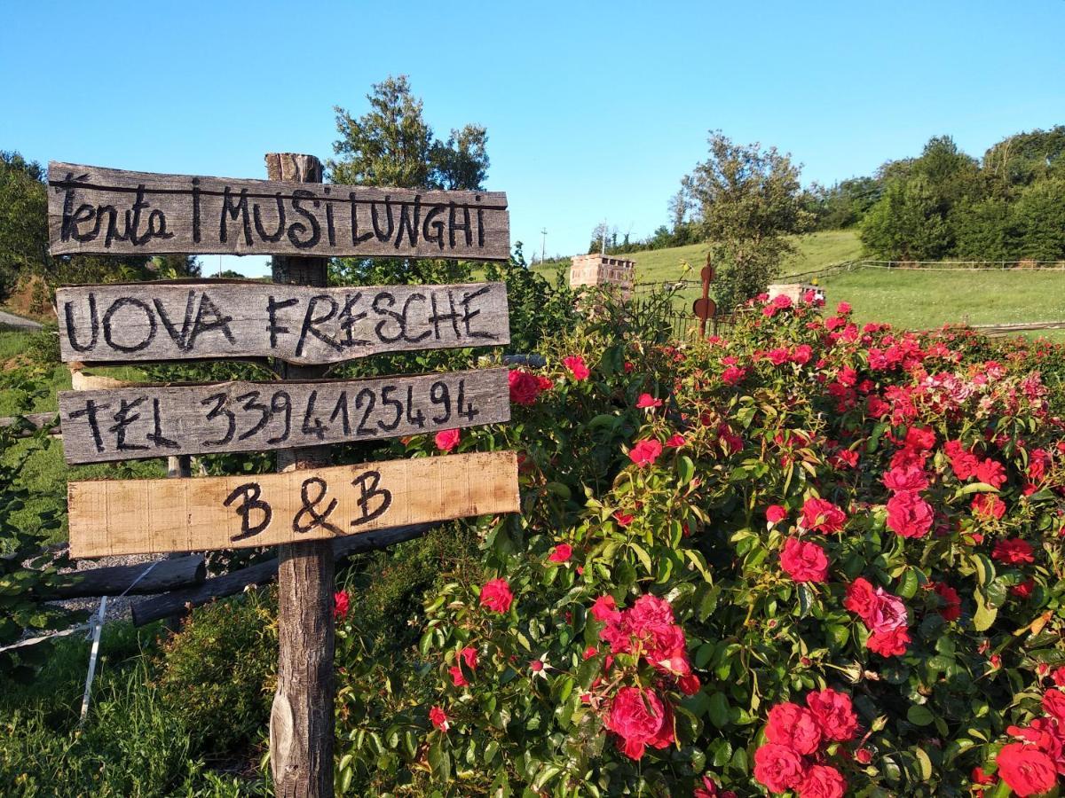 Tenuta I Musi Lunghi Lesignano de' Bagni Eksteriør bilde